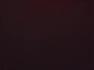 AllHerLuv.com - Domestic Violet
